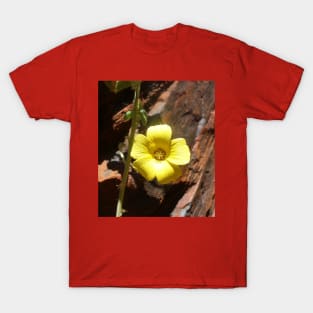 Beautiful Yellow Wildflower T-Shirt
